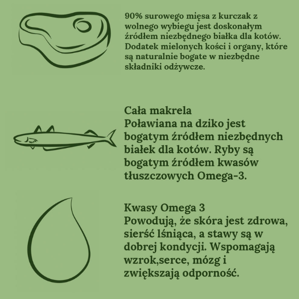 ZIWIPEAK Kurczak z makrelą - karma sucha monobiałkowa dla kotów (3).png