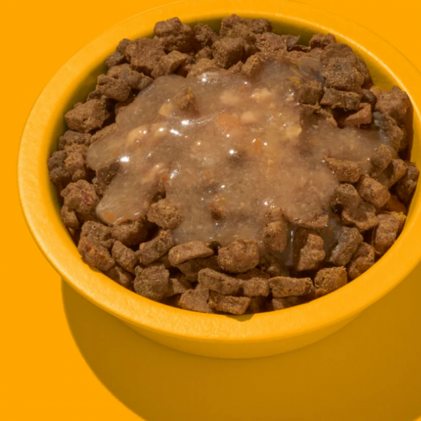 FELIA Smoothie z kurczaka dla kotów - 200 g  (1).png