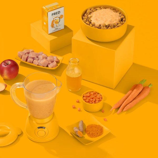FRED Smoothie z kurczaka z kurkumą dla psów - 200 g (3).png