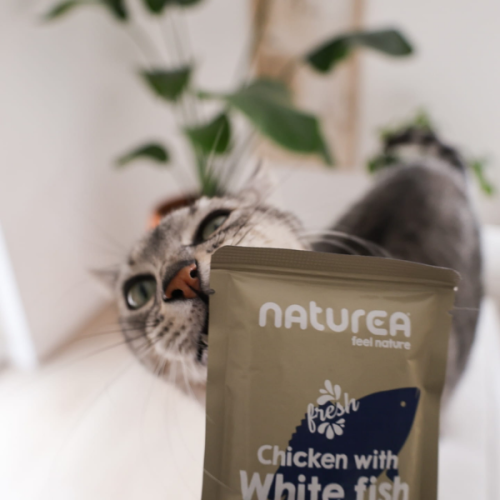 NATUREA CHICKEN WITH WITE FISH Karma dla kotów sterylizowanych - kurczak z białą rybą - 85 g   (2).png