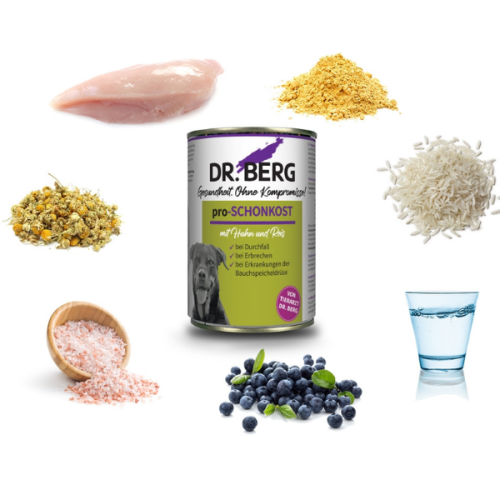 DR. BERG PRO-SCHONKOST - karma weterynaryjna dla psów - trzustka,  wątroba, problemy żołądkowo-jelitowe - 400 g (2).png