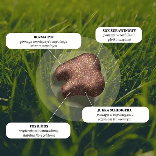 DOG'S LOVE Przysmaki funkcyjne na zdrowe zęby i świeży oddech tawy  dla psów - 150 g  (2).png