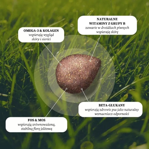 DOG'S LOVE Przysmaki funkcyjne na zdrową skórę i lśniącą sierść - dla psów - 150 g  (2).png