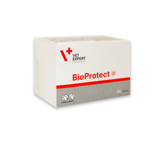 VET Expert Bio Protect - preparat wspierający zdrowie jelit u psów i kotów - 60 kapsułek.png