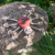 GREEN WILD'S Spike the Spider - zabawka dla psa - pajączek  (4).png