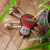 GREEN WILD'S Spike the Spider - zabawka dla psa - pajączek  (5).png