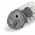 GREEN WILD'S Roger the Ropefish (2).png