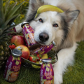 SmoothieDog Obstkorb – Owocowe smoothie dla psa (3).png