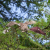 GREEN WILDS Desmond the Duck - zabawka dla psa - kaczor (4).png