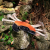 GREEN WILDS Carlos the Crab - zabawka dla psa - krab (5).png