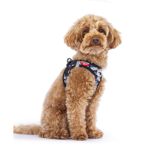 Szelki dla psa CURLI CLASP AIR MESH - Comic Black (2).png