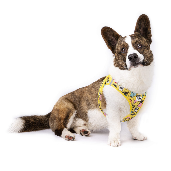 Szelki dla psa CURLI CLASP AIR MESH COMIC -  YELLOW (2).png