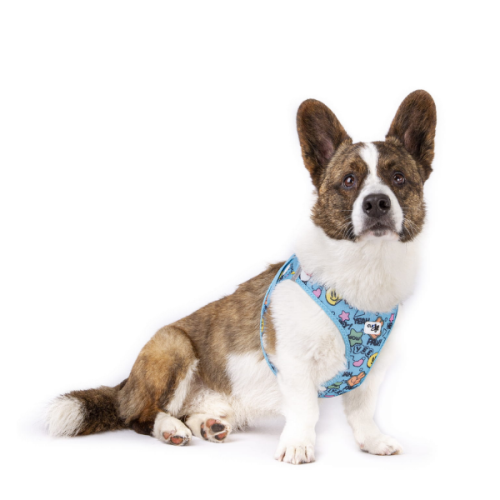 Szelki dla psa CURLI CLASP AIR MESH COMIC -  Turquoise (2).png