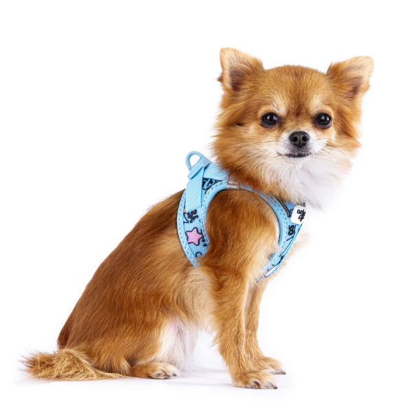 Szelki dla psa CURLI CLASP AIR MESH COMIC -  Turquoise (4).png