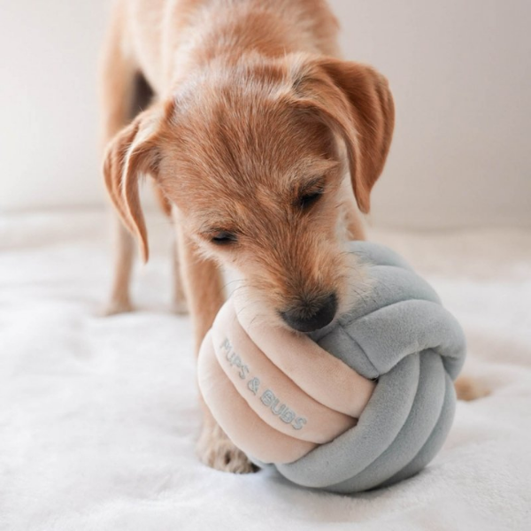Pups &amp; Bubs Zabawka węchowa dla psa - SUPEŁEK (7).png