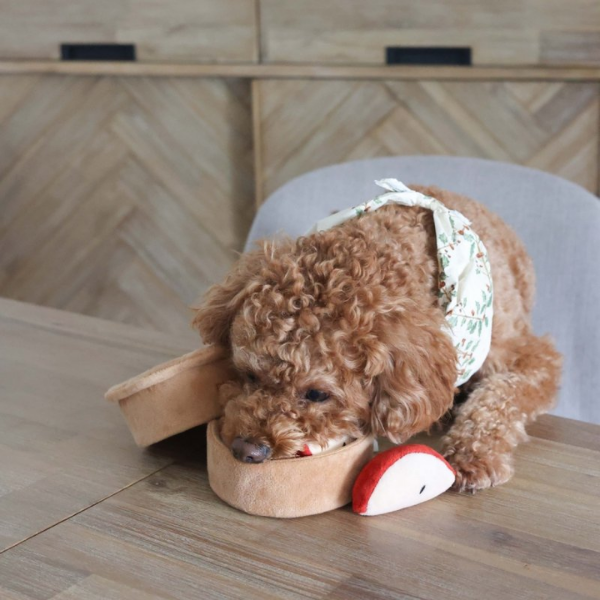 Pups &amp; Bubs Zabawka węchowa dla psa - SZARLOTKA (9).png