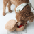 Pups &amp; Bubs Zabawka węchowa dla psa - SZARLOTKA (11).png