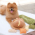 Pups &amp; Bubs Zabawka węchowa dla psa - SEROWA BUŁECZKA (2).png