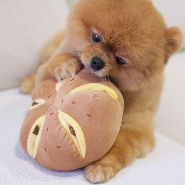 Pups &amp; Bubs Zabawka węchowa dla psa - SEROWA BUŁECZKA (4).png