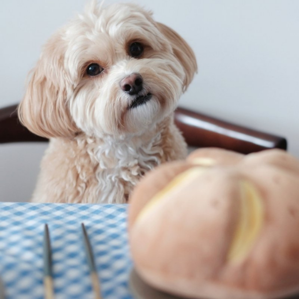 Pups &amp; Bubs Zabawka węchowa dla psa - SEROWA BUŁECZKA (8).png