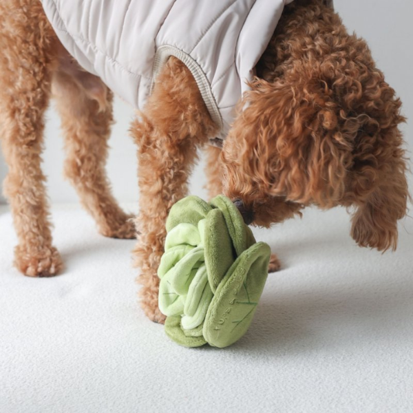 Pups &amp; Bubs Zabawka węchowa dla psa - KAPUSTA  (2).png