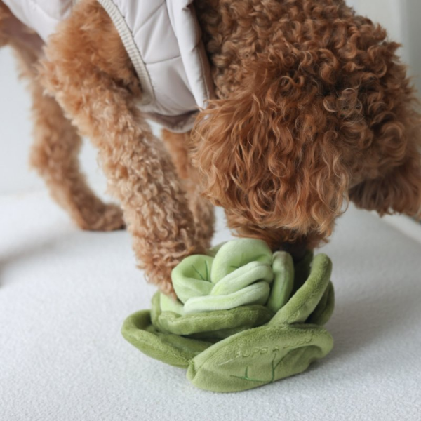 Pups &amp; Bubs Zabawka węchowa dla psa - KAPUSTA  (4).png
