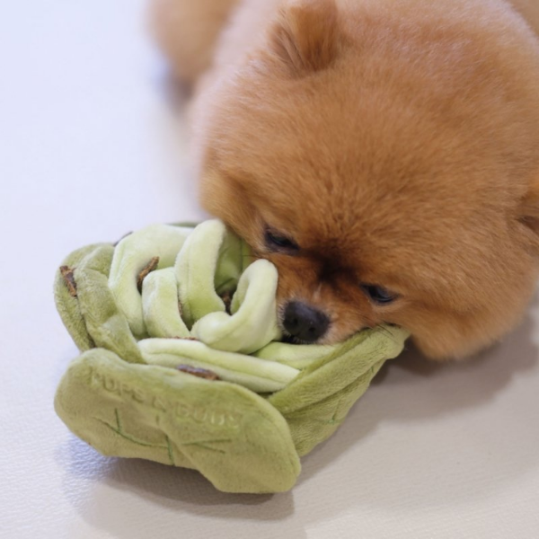 Pups &amp; Bubs Zabawka węchowa dla psa - KAPUSTA  (7).png