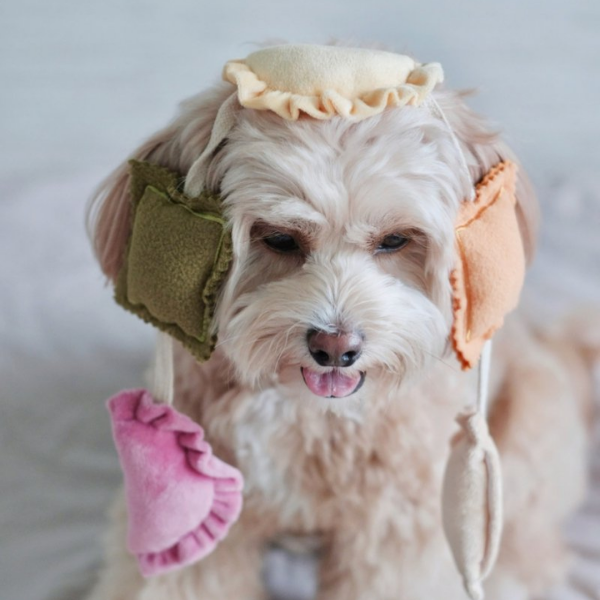 Pups &amp; Bubs Zabawka węchowa dla psa - RAVIOLI (1).png