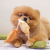 Pups &amp; Bubs Zabawka węchowa dla psa - RAVIOLI (7).png