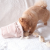 Pups &amp; Bubs Zabawka węchowa dla psa - POPCORN  (5).png