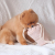 Pups &amp; Bubs Zabawka węchowa dla psa - POPCORN  (6).png