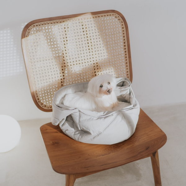 LAMBWOLF Olla KOALA Legowisko - torba socjalizacyjna dla psa  (4).png