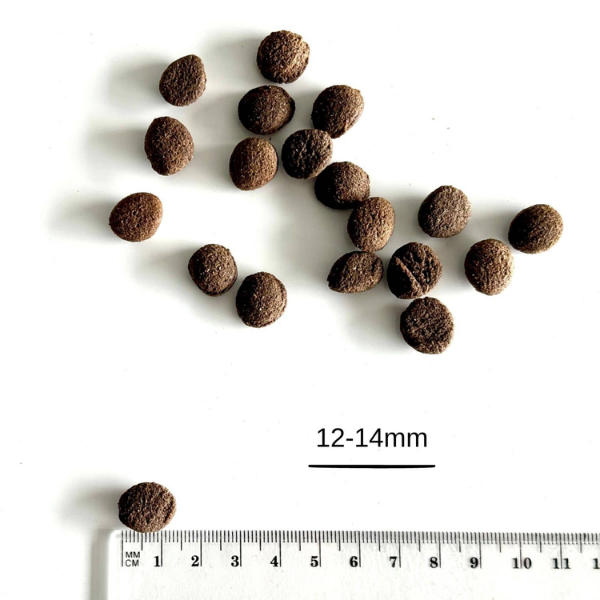 FARMA Karma tłoczona na zimno dla psów - jagnięcina (3).png