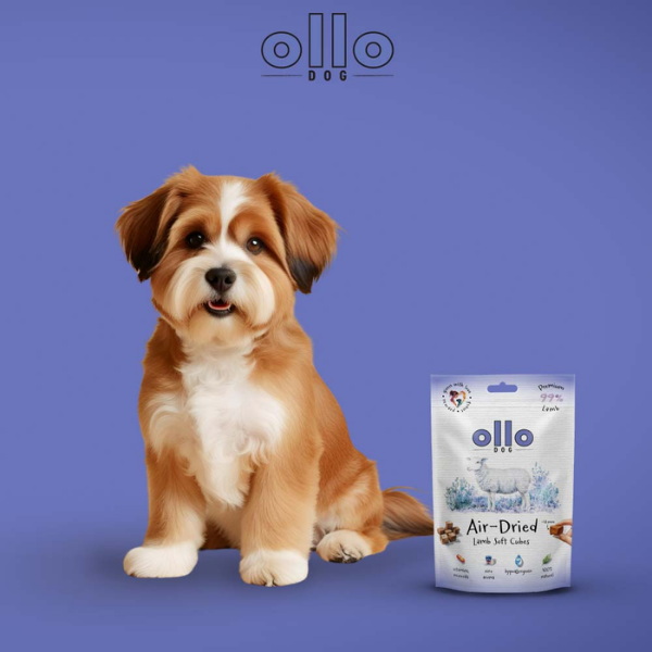 OLLO SOFT CUBE Przysmaki w kształcie kostek z jagnięciny dla psów - 80 g (5).png