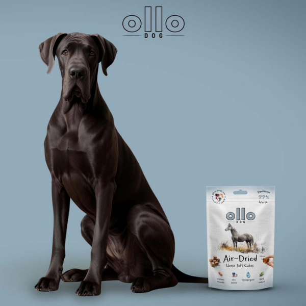 OLLO SOFT CUBE Przysmaki w kształcie kostek z koniny dla psów - 80 g (6).png