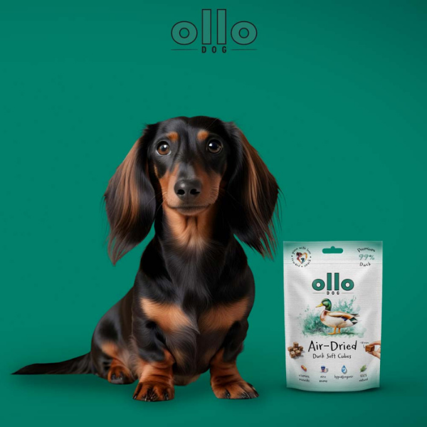 OLLO SOFT CUBE Przysmaki w kształcie kostek z kaczki dla psów - 80 g  (6).png