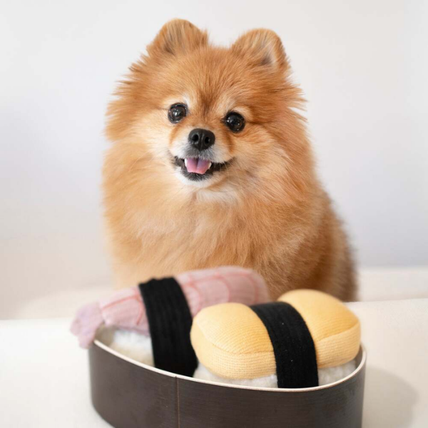 Lambwolf  SUSHI - zabawka węchowa dla psa  (4).png
