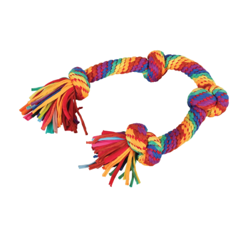 ZOLUX  Zabawka RAINBOW dla  psa - szarpak sznur - 4 węzły (1).png