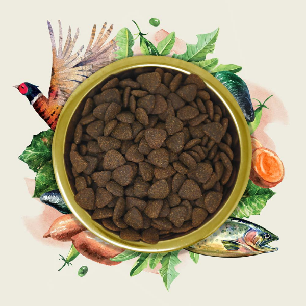 EDEN GOURMET Łosoś i bażant - karma sucha dla psów (3).png