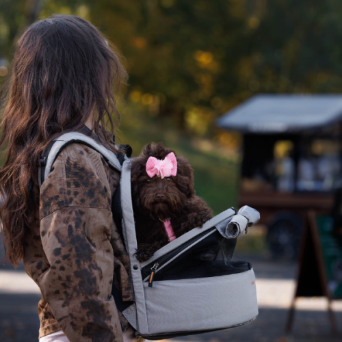 IBIYAYA Plecak Panorama Moon Mist (2).png