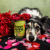 DOG'S LOVE Springs Menu Lamm - Jagnięcina z gruszką i botwinką dla psa - 400 g (3).png