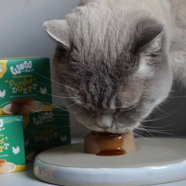 WOW CAT Purrfect Duett Huhn - mus z kurczaka z sosem dla kotów - 2 szt. x 80 g (3).png