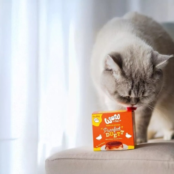 WOW CAT Purrfect Duett Ente - mus z kaczki z sosem dla kotów - 2 szt. x 80 g (3).png