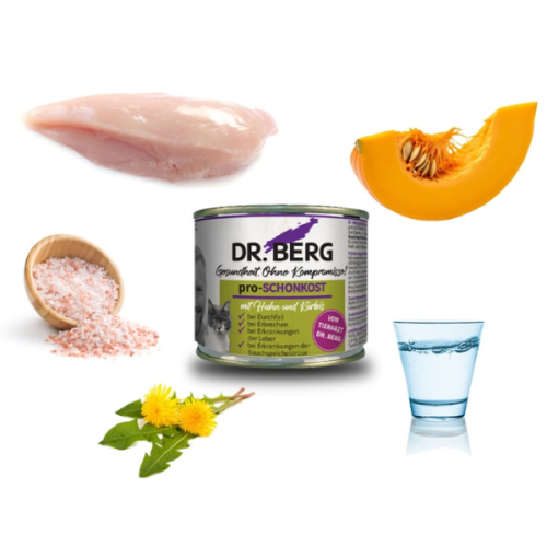 DR BERG PRO-SCHONKOST - Dietetyczna karma dla kotów z problemami żołądkowo-jelitowymi i biegunkami - 200 g (2).png