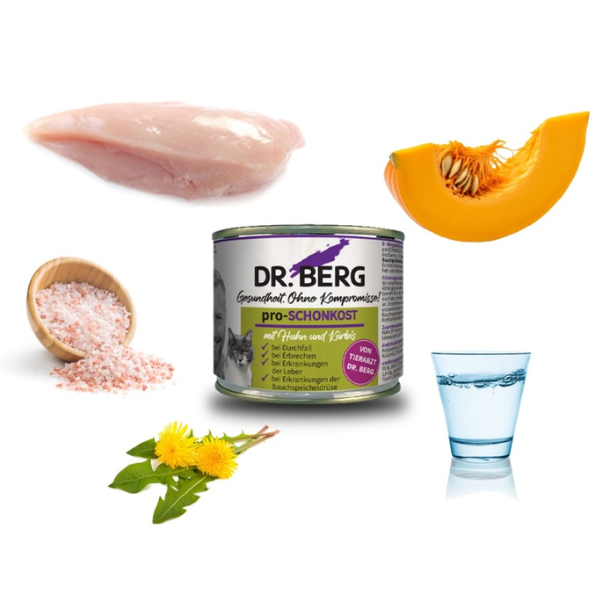 DR BERG PRO-SCHONKOST - Dietetyczna karma dla kotów z problemami żołądkowo-jelitowymi i biegunkami - 200 g (2).png