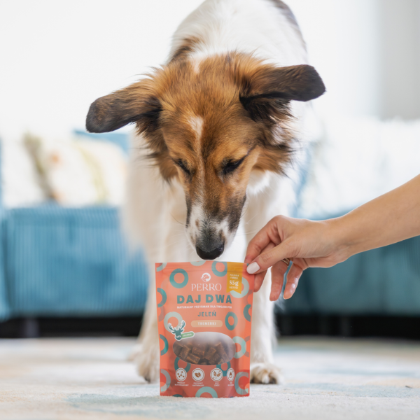 PERRO DAJ DWA JELEŃ Trenerki dla psa - 85 g