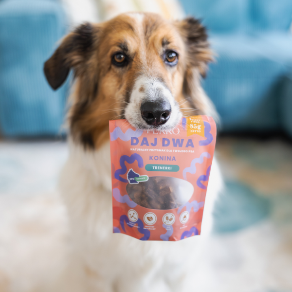 PERRO DAJ DWA KONINA Trenerki dla psa - 85 g