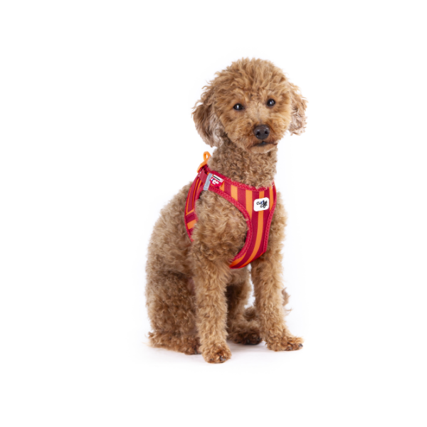Curli Szelki dla psa - Clasp Air Mesh Stripes Red (3).png