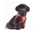 Curli Szelki dla psa - Clasp Air Mesh Stripes Red (4).png