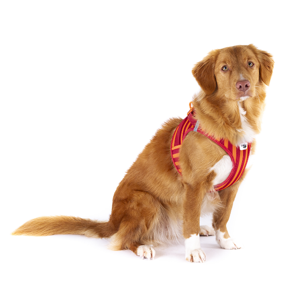 Curli Szelki dla psa - Clasp Air Mesh Stripes Red (5).png
